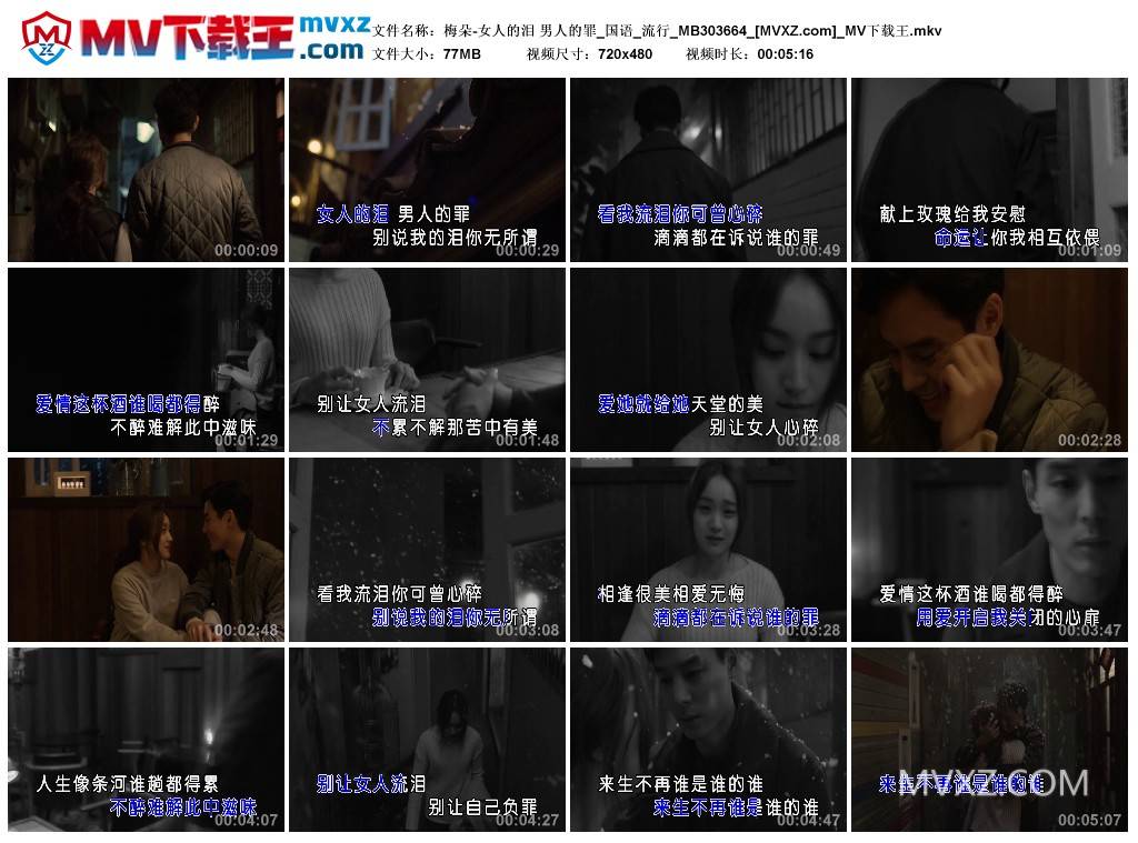 梅朵-女人的泪 男人的罪_国语_流行_MB303664